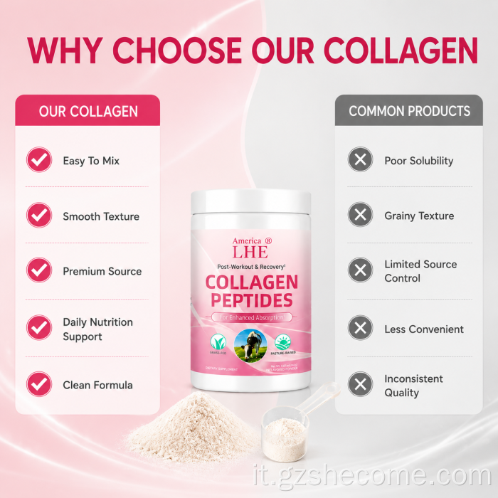 Shecome Multi Collagen Peptides Polvere di peptidi di collagene